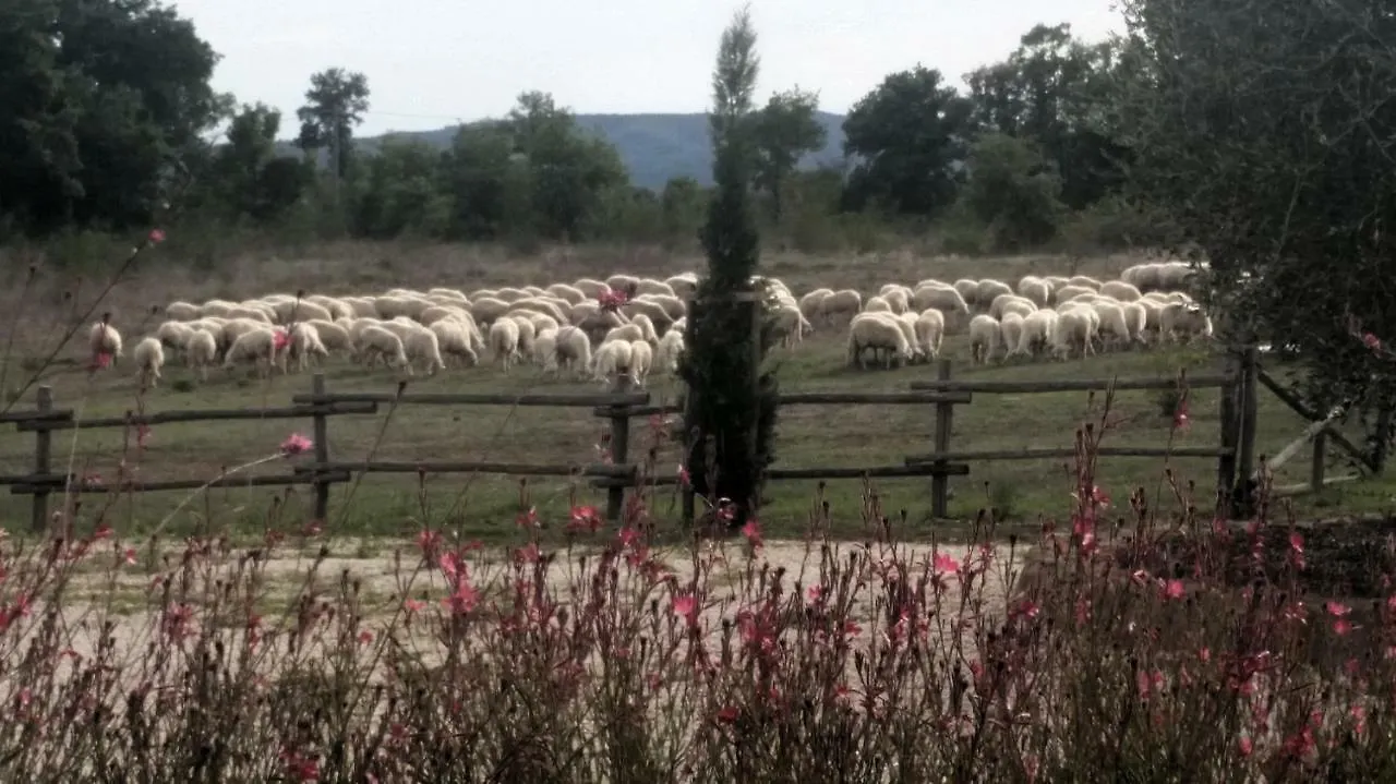 Holiday home Maremma Country Chic Le Ginestre Villa Sovana Italy